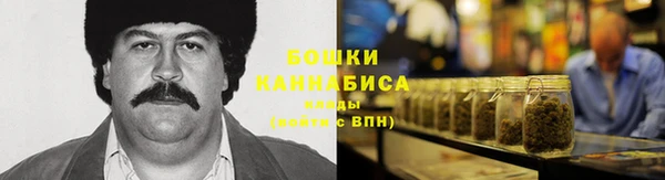 гидра Алзамай