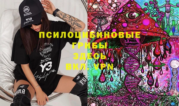 гидра Алзамай