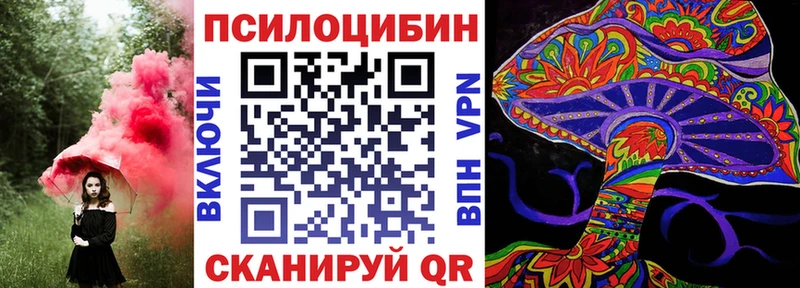 omg   Большой Камень  shop наркотические препараты  Псилоцибиновые грибы мухоморы 