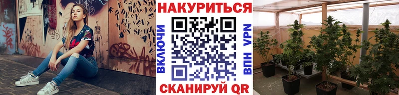 купить закладку  Большой Камень  Конопля индика 